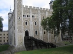 IMG 0595